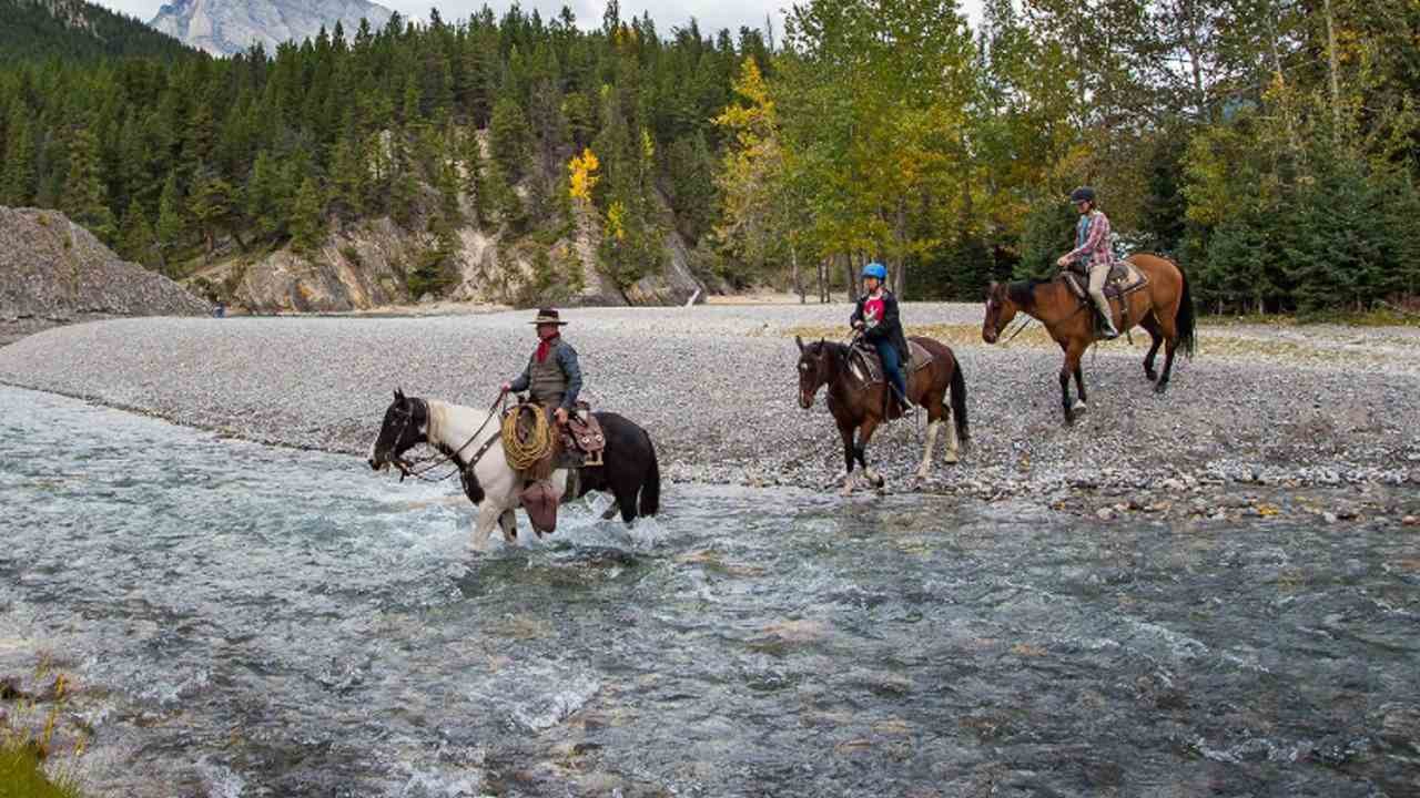 Complete Guide to Banff’s Horseback and Hot Springs Experience