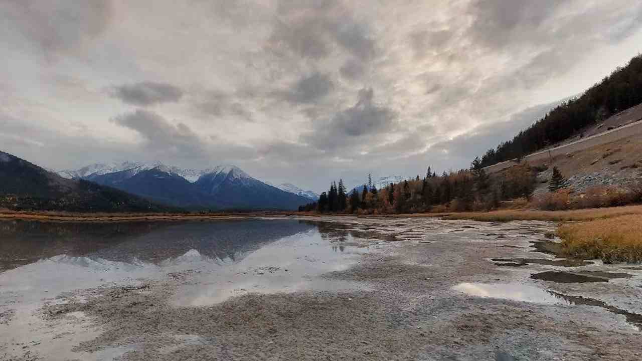 Wildlife Near Banff Hot Springs